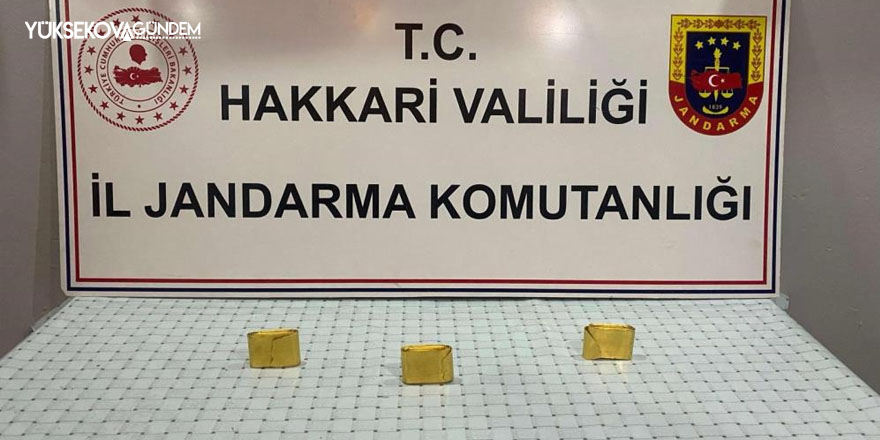 Hakkari'de 3 kilo altın ele geçirildi