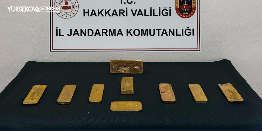 Hakkari'de piyasa değeri 37 milyon TL olan külçe altın ele geçirildi