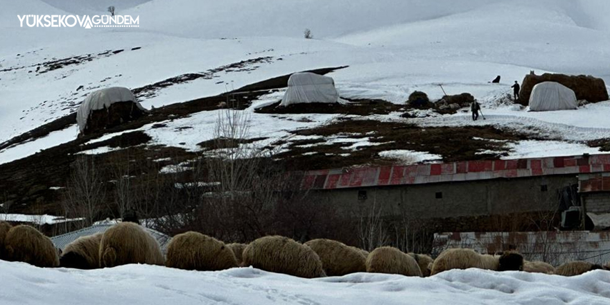 Yüksekova’da çiftçilerin kış zorluğu devam ediyor