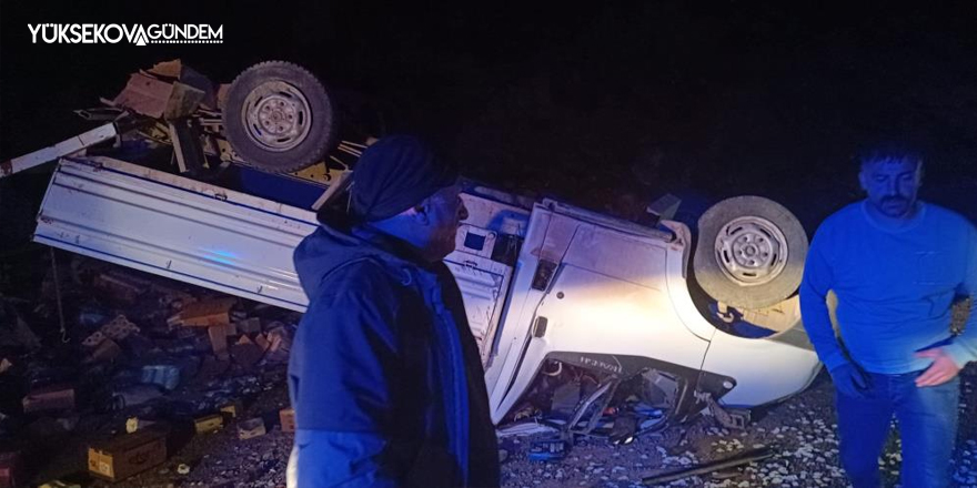 Hakkari'de lastiği patlayan kamyonet kaza yaptı: 2 yaralı