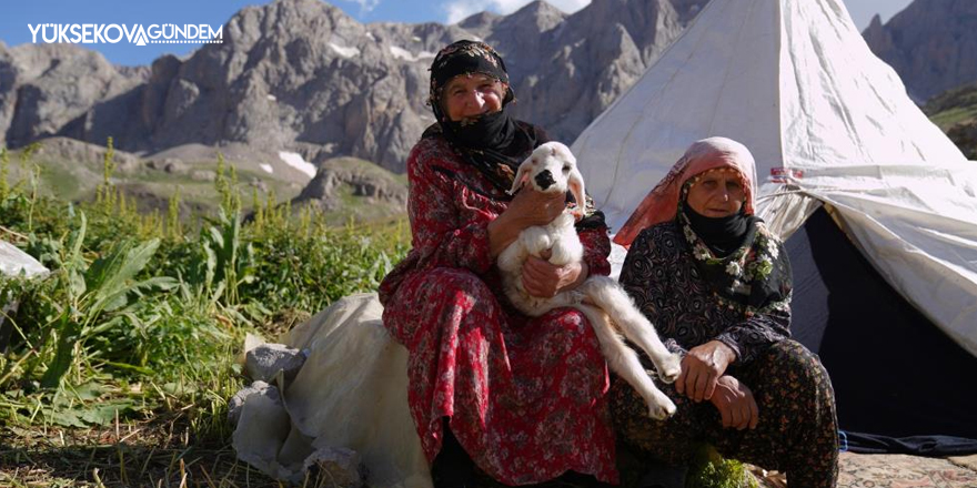 Havalar ısındı, meralar şenlendi