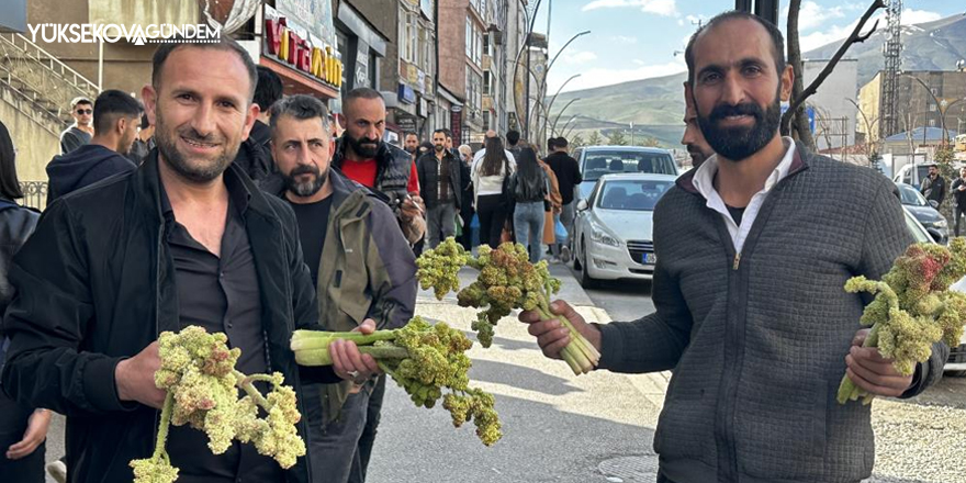 Yüksekova'da uçkun satıcıların tezgahlarında yerini aldı