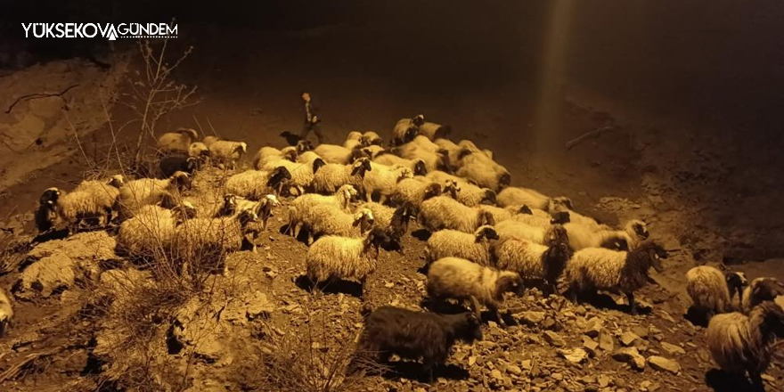 Hakkari’nin Kırıkdağ köyünde toprak kayması