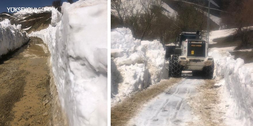 Yüksekova'da 5 metreyi bulan karda yol açma çalışması