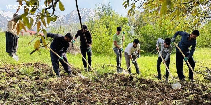 Derecik'te köylülerin imece usulü bağ çapalama mesaisi