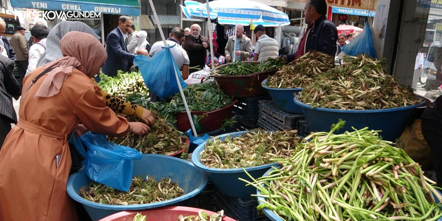 Sofraların vazgeçilmesi otlu peynire tat veren bitkilere büyük ilgi