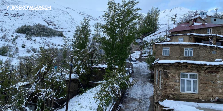 Van'a mayıs ayında lapa lapa kar yağdı