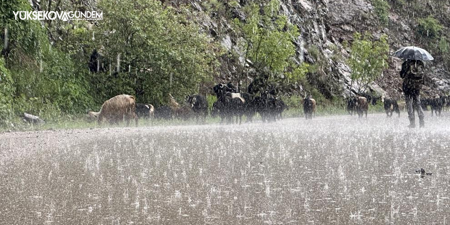 Meteoroloji Hakkari için uyardı: Kuvvetli yağışlar olacak