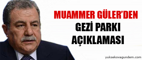 Güler'den Gezi Parkı açıklaması