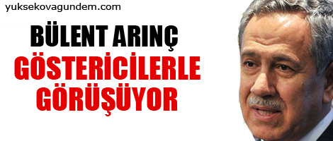 Arınç göstericilerle görüşüyor