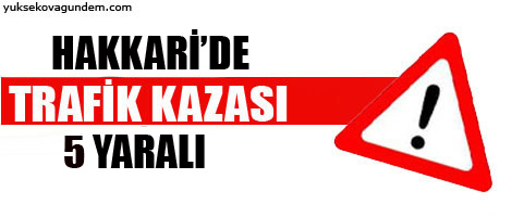 Trafik kazası 5 yaralı
