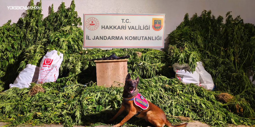 Yüksekova’da Uyuşturucu Operasyonu: 61 Kilo Esrar Ele Geçirildi