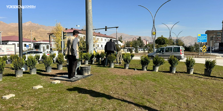 Yüksekova’da İpek Yolu Caddesi’nde Yeşillendirme Çalışmaları Devam Ediyor