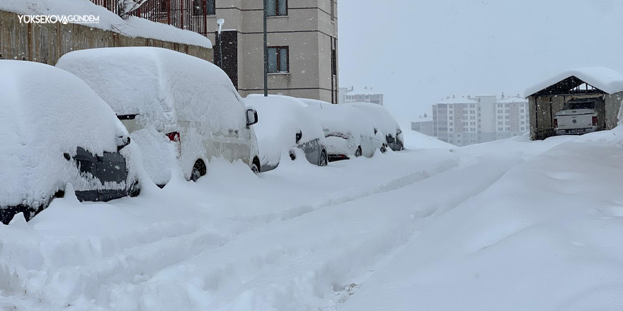 Yüksekova’da Yoğun Kar Yağışı Hayatı Olumsuz Etkiledi