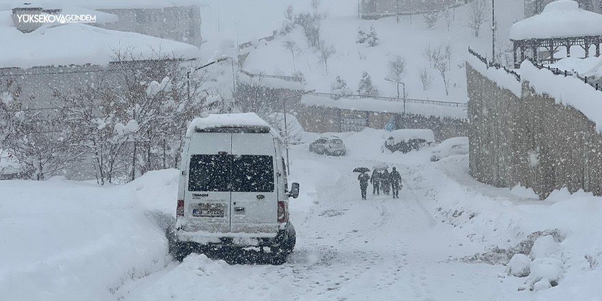Yüksekova’da Kar Yağışı Hayatı Olumsuz Etkiledi