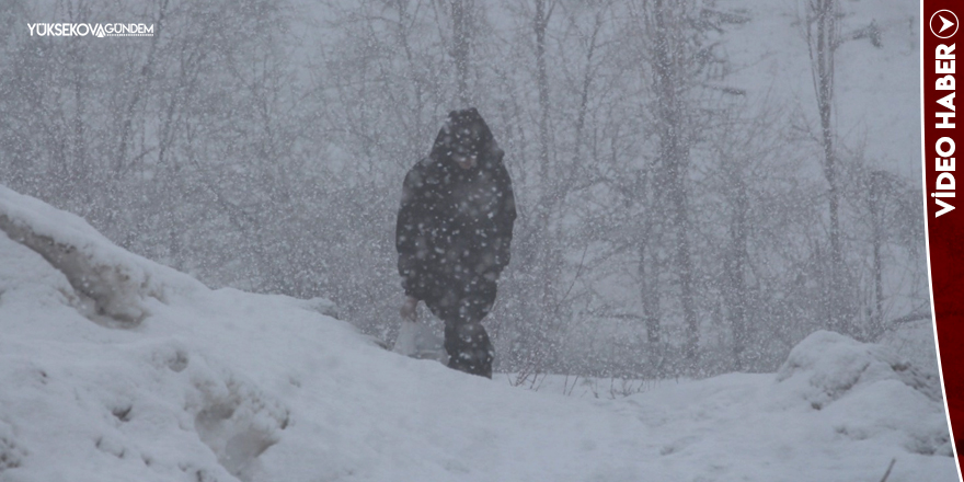Nisan’da Kış Geri Döndü, Bahar Beklenirken Yüksekova Beyaza Büründü