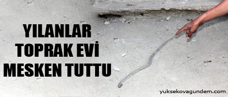 Yılanlar evi mesken tuttu