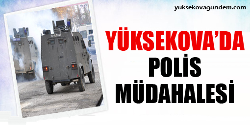 Yüksekova'da polis müdahalesi