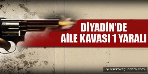 Diyadin'de aile kavgası: 1 yaralı