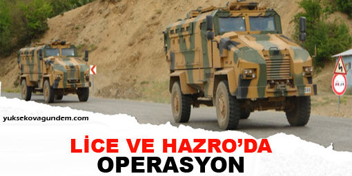 Lice ve Hazro'da operasyon