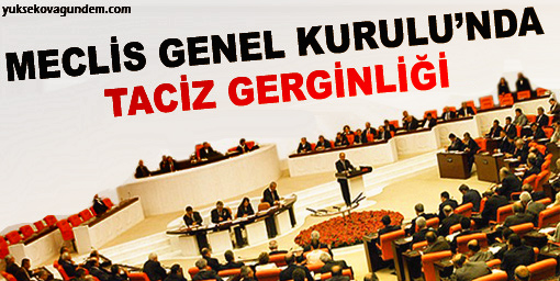 Meclis Genel Kurulu'nda taciz gerginliği