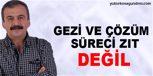 Önder: Gezi ve Çözüm süreci zıt değil!