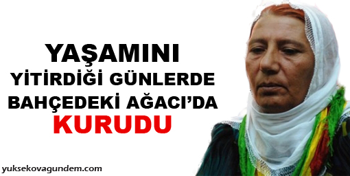 'Yaşamını yitirdiği günlerde bahçedeki ağacı da kurudu'
