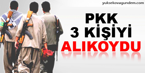 Bingöl'de 3 kişi kaçırıldı iddiası