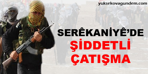 20 El Kaide mensubu öldürüldü