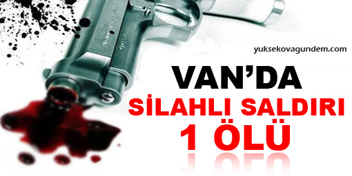Van'da silahlı saldırı: 1 ölü