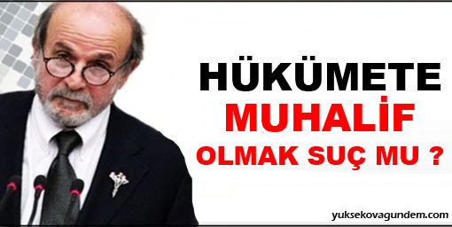 Hükümete muhalif olmak suç mu?