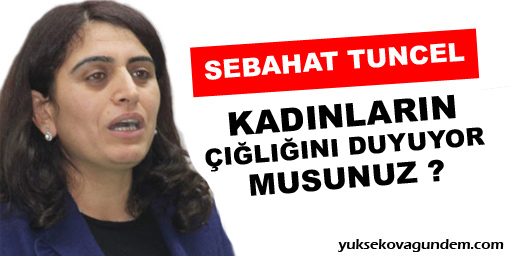 'Kadınların çığlığını duyuyor musunuz?'