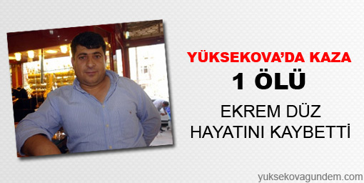 Yüksekova'da kaza; 1 ölü