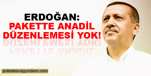 Erdoğan: Pakette anadil düzenlemesi yok!