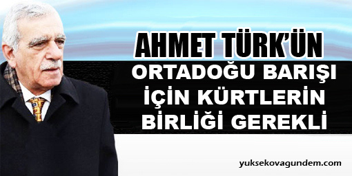 Türk: Ortadoğu barışı için Kürtlerin birliği gerekli