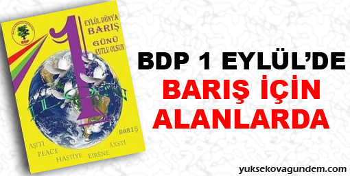BDP 1 Eylül'de Barış İçin Alanlarda