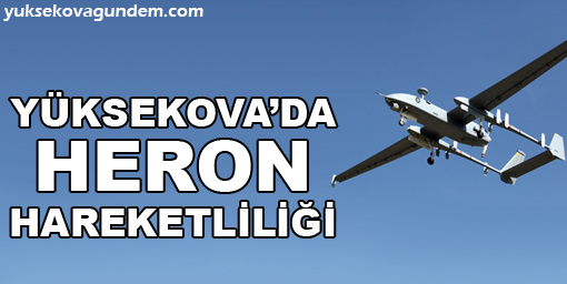 Yüksekova'da heron hareketliliği