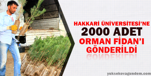 Eğirdir den Hakkâriye 2000 Adet Orman Fidanı
