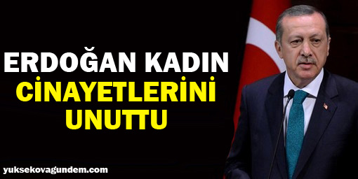 Erdoğan kadın cinayetlerini unuttu