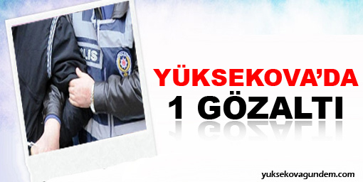 Yüksekova'da 1 Gözaltı