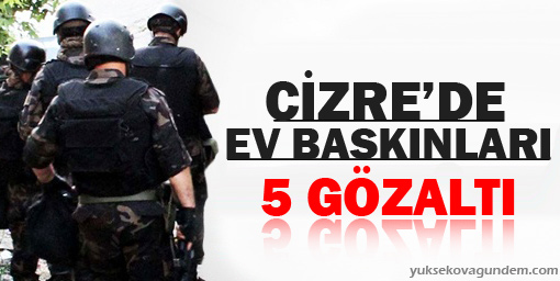 Cizre'de ev baskınları: 5 gözaltı