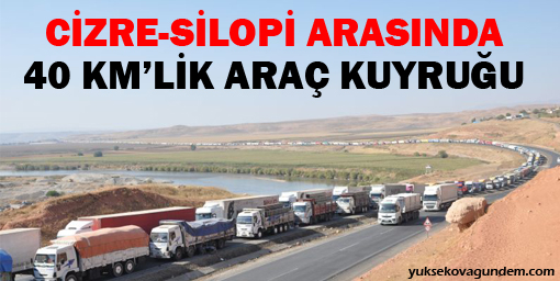 Cizre-Silopi arasında Araç Kuyruğu