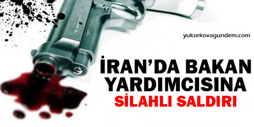 İran'da bakan yardımcısına silahlı saldırı
