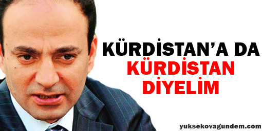 Baydemir: Kürdistana da Kürdistan diyelim
