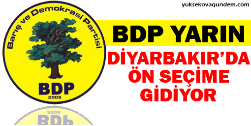 BDP yarın Diyarbakır'da ön seçime gidiyor