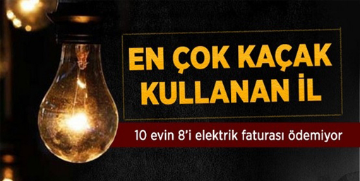 En Çok Kaçak Elektrik Muş'ta Kullanılıyor