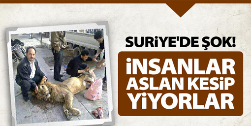 İnsanlar Aslan Kesip Yiyorlar