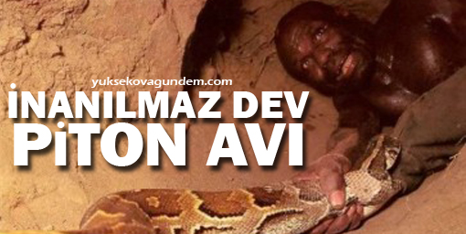 İnanılmaz Dev Piton Avı