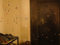 Van'da polisler iki evi taradı