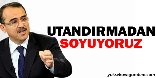 'Utandırmadan soyuyoruz'